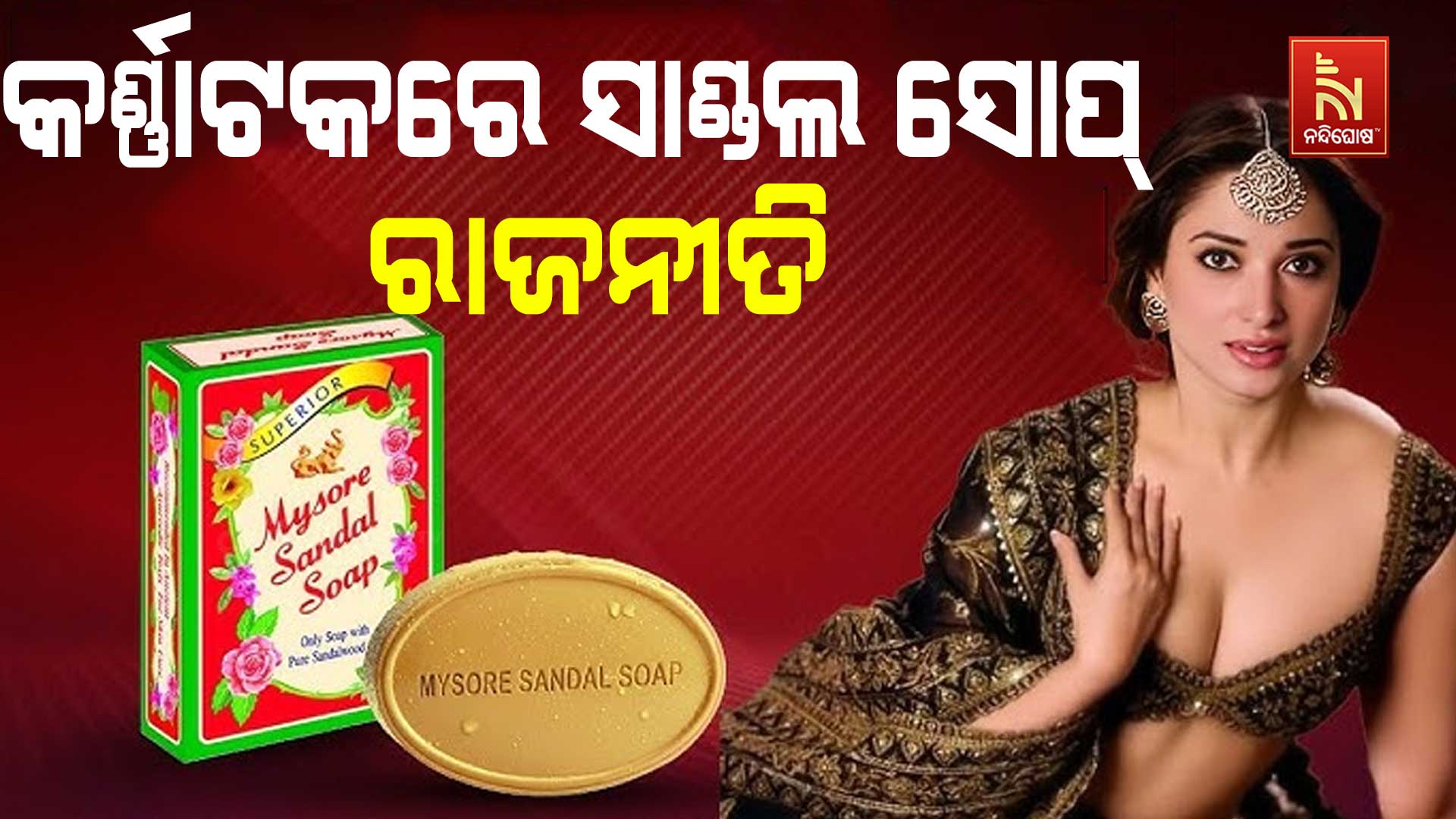 କର୍ଣ୍ଣାଟକରେ-ସାଣ୍ଡଲ-ସପ୍-ରାଜନୀତି