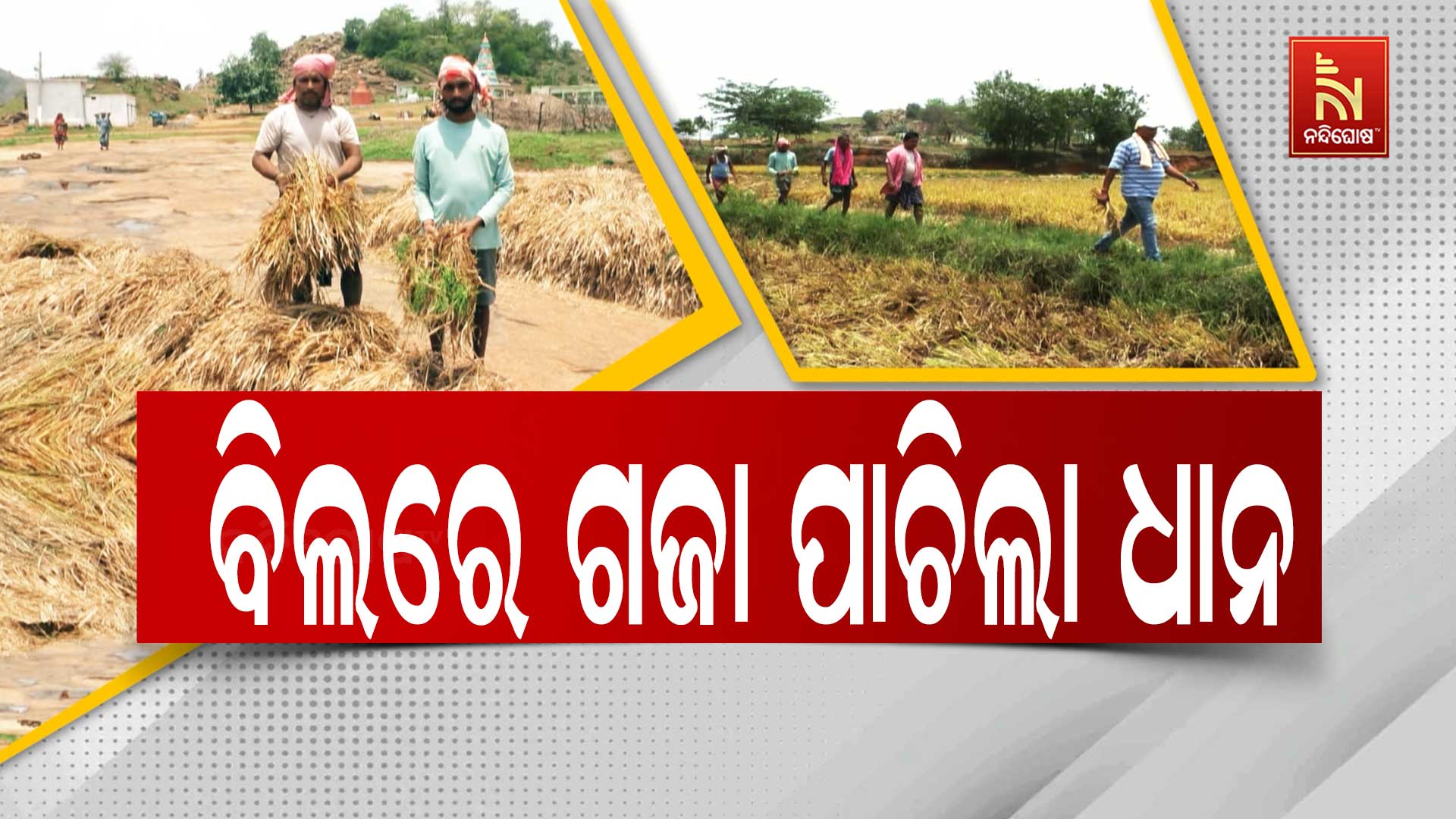 TITILAGARH_FARMER-PROBLEM-PKG