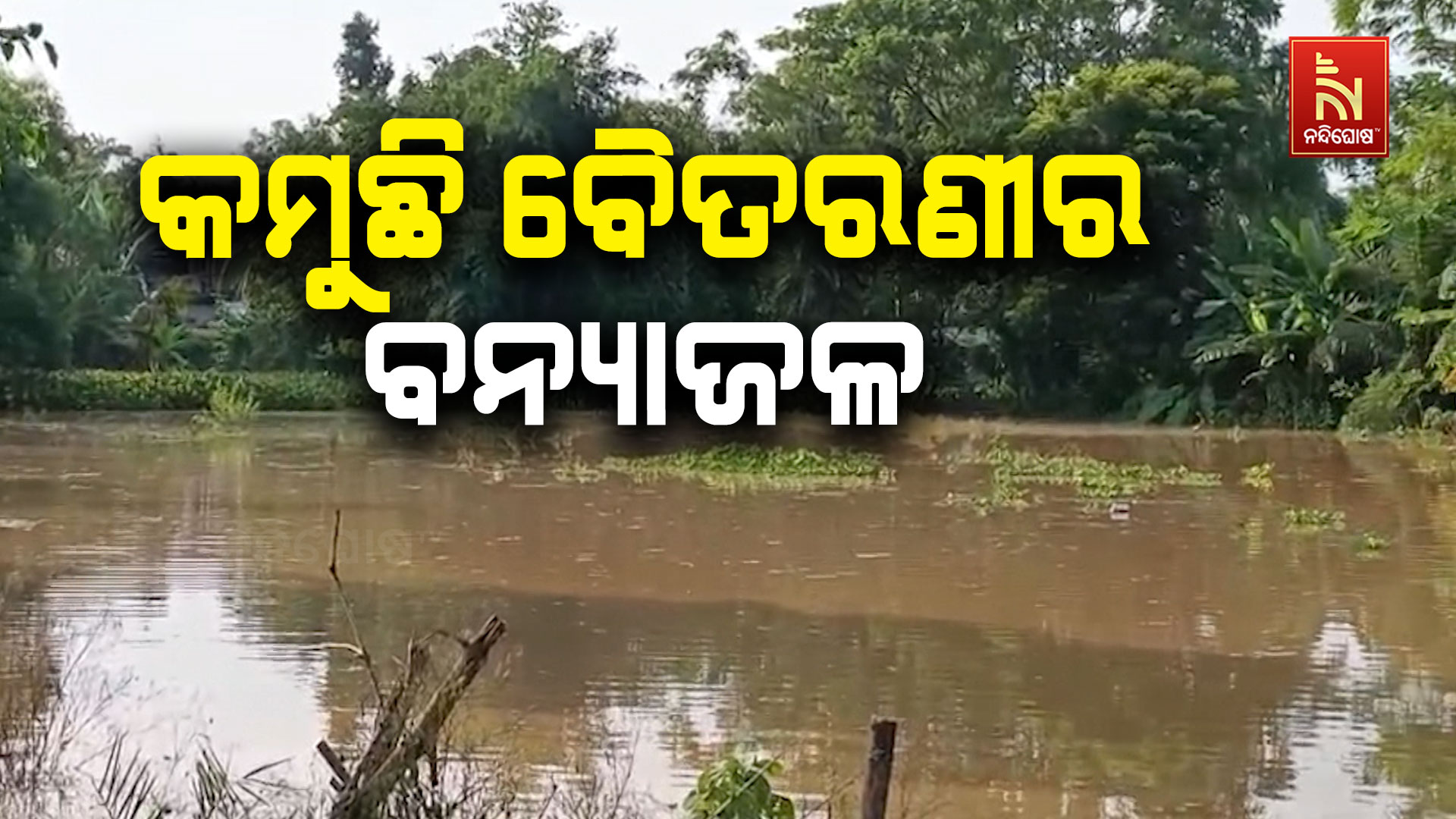 sdfghjksdfgjl;sdfhyujsdfghj