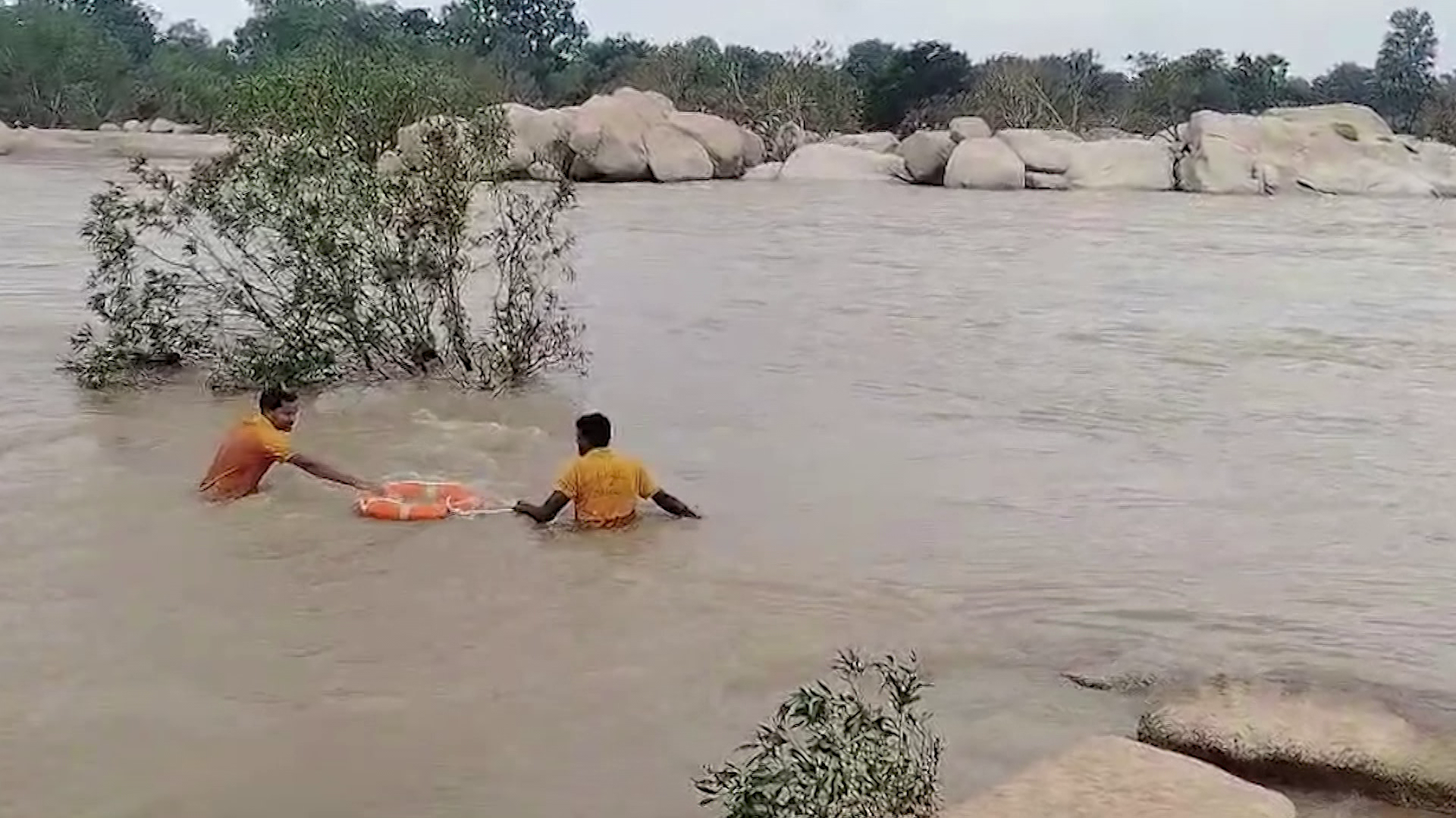 vlcsnap-2025-07-30-17h32m50s618