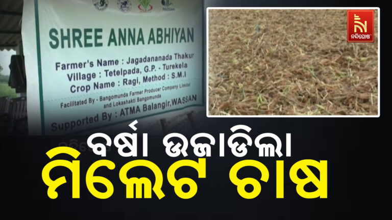 ଅଦିନିଆ ଲଘୁଚାପ ବର୍ଷା ଉଜାଡି ଦେଲା ଜାତୀୟ ଫସଲ