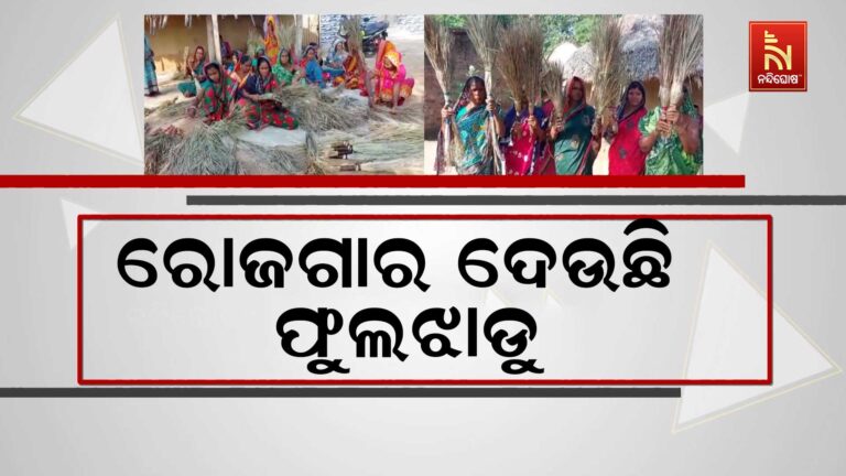 ମହିଳାଙ୍କୁ ରୋଜଗାରର ବାଟ ଦେଖାଇଛି ଫୁଲ ଝାଡୁ