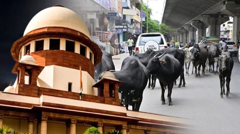 ରାଜପଥ ଓ ଏକ୍ସପ୍ରେସୱେରେ ବୁଲା ପଶୁଙ୍କ ପ୍ରବେଶ ନିଷେଧ, ହଟାଇବା ପାଇଁ ସୁପ୍ରିମକୋର୍ଟଙ୍କ ନିର୍ଦ୍ଦେଶ