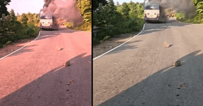 ଓଏସଆରଟିସି ବସରେ ନିଆଁ ; ହୁତୁହୁତୁ ହୋଇ ଜଳିଗଲା ବସ