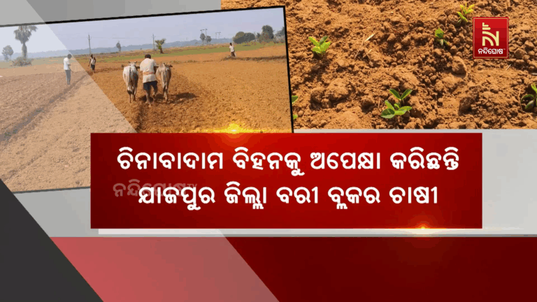 ଚାଷୀଙ୍କ ପାଇଁ ସରକାରଙ୍କ କେତେ କ’ଣ ଯୋଜନା ; କିନ୍ତୁ ଚାଷୀଙ୍କ ଅବସ୍ଥା କହିଲେ ନ ସରେ