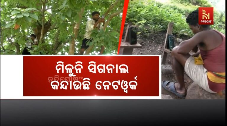 ଡିଜିଟାଲ ଇଣ୍ଡିଆର ବିକଳ ଚିତ୍ର: ମିଳୁନି ସିଗନାଲ, କନ୍ଦାଉଛି ନେଟୱର୍କ