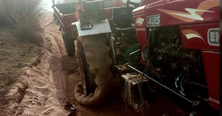 ବେଆଇନ ବାଲିଘାଟକୁ କେନ୍ଦ୍ରକରି ଦୁଇ ଗୋଷ୍ଠୀଙ୍କ ମଧ୍ୟରେ ଗଣ୍ଡଗୋଳ, ୫ଜଣ ଗୁରୁତର