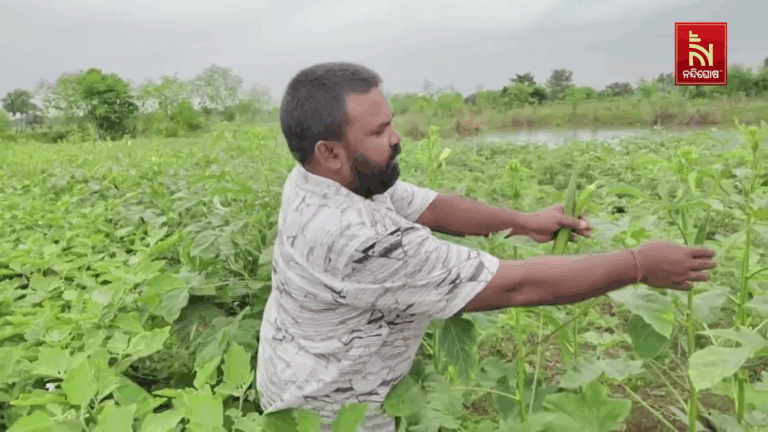 ଚାଷ କରି ଲକ୍ଷପତି ପ୍ରଦୀପ, ୪ ଜଣଙ୍କୁ ଦେଇଛନ୍ତି ରୋଜଗାର