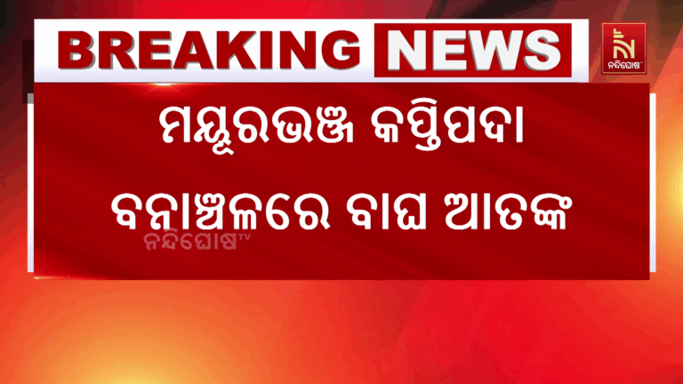 କପ୍ତିପଦା ବନାଞ୍ଚଳରେ ବାଘ ମାରୁଛି ଗୋରୁ ; ଆତଙ୍କିତ ଅବସ୍ଥାରେ ଗ୍ରାମବାସୀ