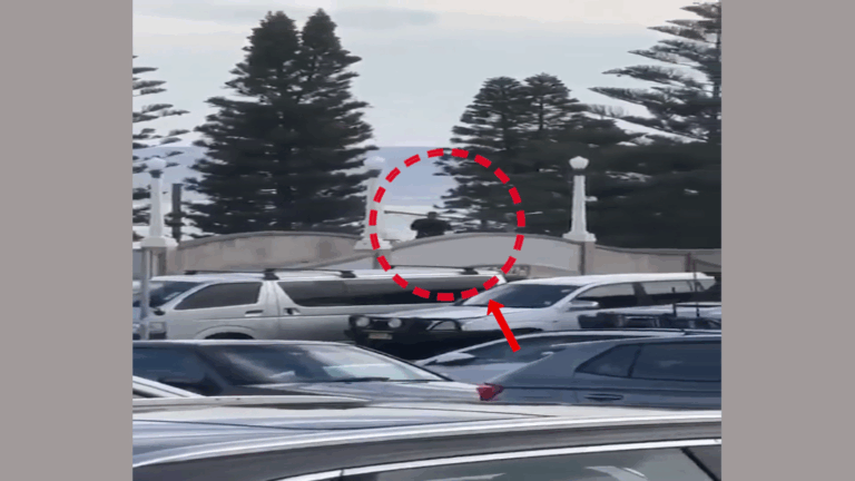 ସିଡନୀରେ ଆଖିବୁଜା ଗୁଳିମାଡ଼, ୧୦ ମୃତ