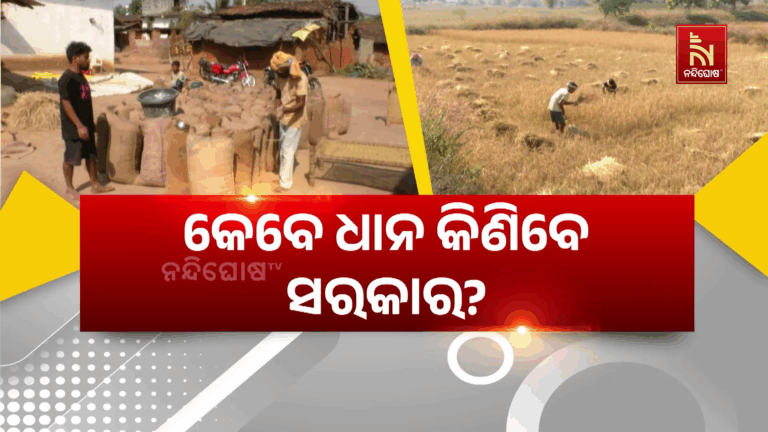 ଧାନ ଅମଳ କରି ବିଲରେ ଚାତକ ପରି ଜଗିଛି ଚାଷୀ