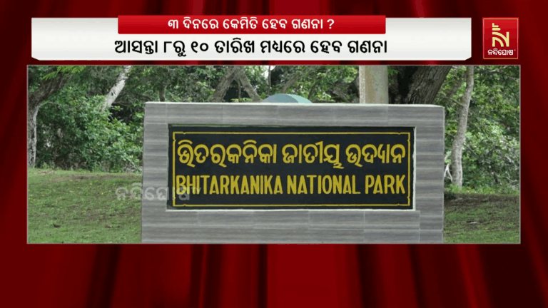 ଭିତରକନିକାରେ କୁମ୍ଭୀର ଗଣନା ଲାଗି ତାରିଖ ସ୍ଥିର ; ଆସନ୍ତା ୮ରୁ ୧୦ ତାରିଖ ମଧ୍ୟରେ ହେବ ଗଣନା