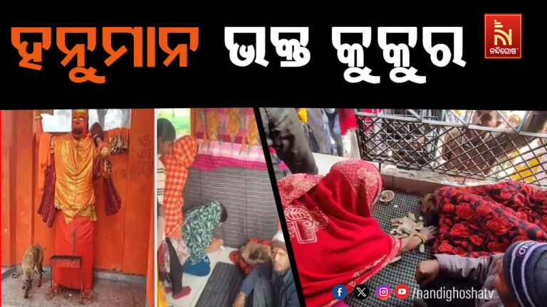 ୧୨୦ ଘଣ୍ଟା ହନୁମାନ ଓ ମା’ ଦୁର୍ଗାଙ୍କ ପରିକ୍ରମା କଲା କୁକୁର, ଚମତ୍କାର କହି ପୂଜା କରୁଛନ୍ତି ଲୋକେ