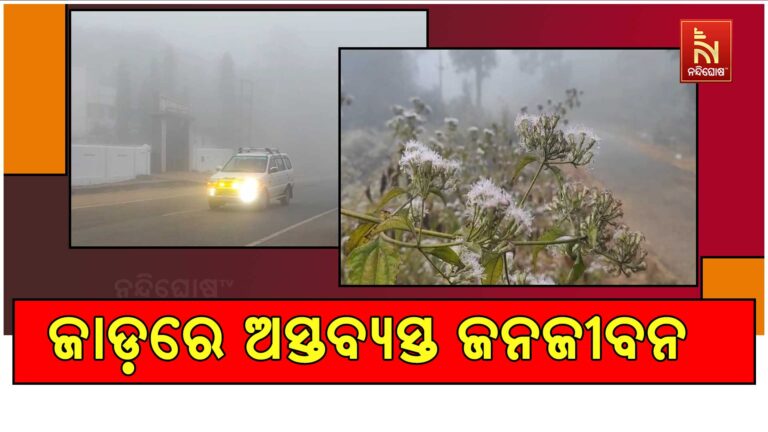 କନ୍ଧମାଳ ଜିଲ୍ଲାରେ ରାଜ୍ କରୁଛି ଶୀତ ; ହାଡ଼ଭଙ୍ଗା ଜାଡ଼ରେ ଅସ୍ତବ୍ୟସ୍ତ ଜନଜୀବନ
