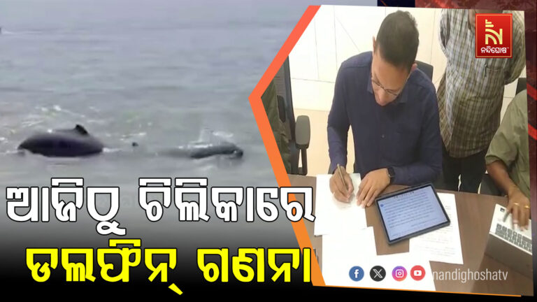 ଆଜିଠୁ ଚିଲିକାରେ ହେବ ଡ଼ଲଫିନ ଗଣନା ; ଗଣନା ୩ ଦିନ ପର୍ଯ୍ୟନ୍ତ ଚାଲିବ