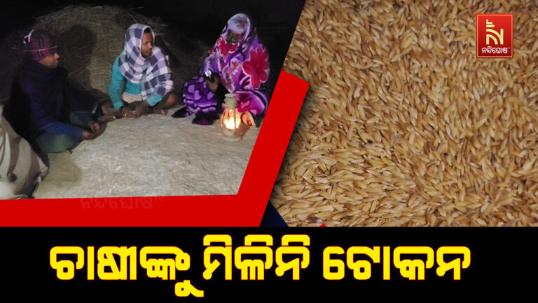 ଚାଷୀଙ୍କୁ ମିଳିନି ଟୋକନ, ଉଠୁନି ଧାନ ; ଖଳାରେ ରାତିସାରା ଜଗି ରହୁଛନ୍ତି ଚାଷୀ