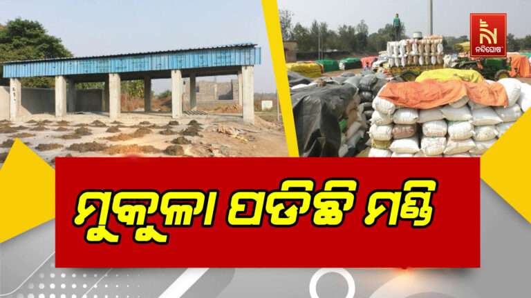 ମଣ୍ଡିରେ ସୁରକ୍ଷିତ ରହୁନି ଚାଷୀଙ୍କ ଅମଳ ଫସଲ: ଧାନ ଚୋରି ହେଉଥିବା ଅଭିଯୋଗ