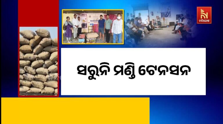 ସରୁନି ମଣ୍ଡି ଟେନସନ: ବେଧଡକ ଚାଲିଛି କଟନୀ ଛଟନୀ