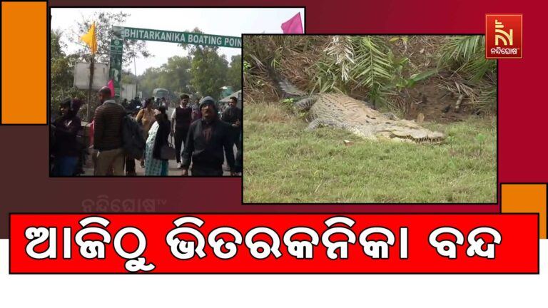 କୁମ୍ଭୀର ଗଣନା ପାଇଁ ଆଜିଠାରୁ ପର୍ଯ୍ୟଟକଙ୍କ ପାଇଁ ବନ୍ଦ ରହିବ ଭିତରକନିକା