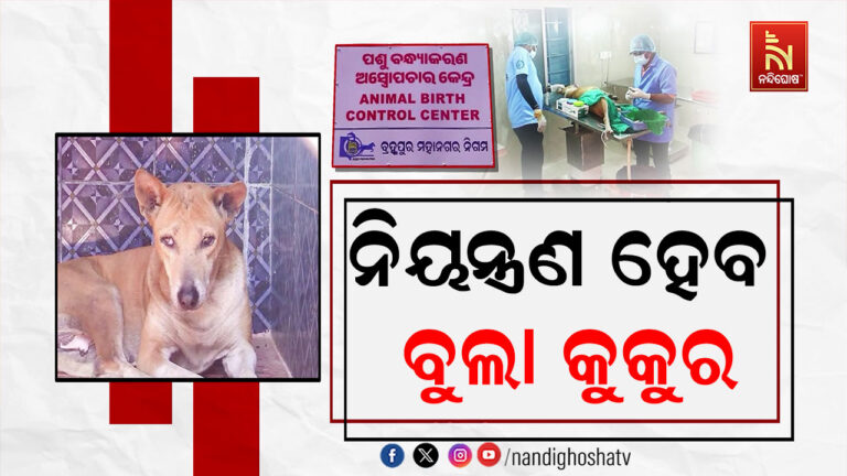 ନିୟନ୍ତ୍ରଣ ହେବ ବୁଲା କୁକୁରଙ୍କ ସଂଖ୍ୟା: ଅଣ୍ଟା ଭିଡ଼ିଲା ବ୍ରହ୍ମପୁର ମହାନଗର ନିଗମ