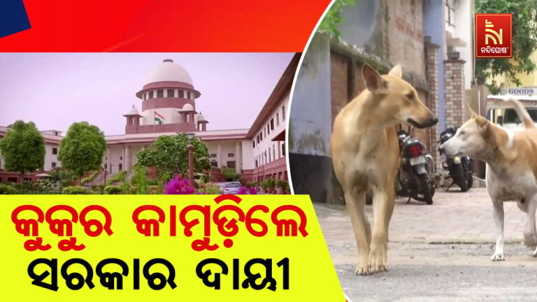 ‘କୁକୁର କାମୁଡିଲେ ଏଣିକି ଜରିମାନା ଗଣିବେ ସରକାର ଓ ସ୍ଥାନୀୟ ପ୍ରଶାସନ’