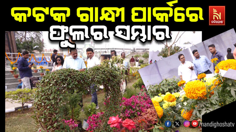ସଜେଇ ହୋଇଛି କଟକ ଗାନ୍ଧୀ ପାର୍କ, ମନ ଟାଣୁଛି ଜାତି ଜାତିକା ଫୁଲ