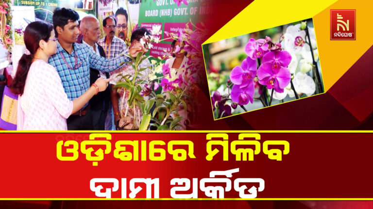 ଓଡ଼ିଶାରେ ମିଳିବ ଦାମୀ ଅର୍କିଡ: ବିନା ମାଟିରେ ଚାଷ ହେବ ବିଭିନ୍ନ ରଙ୍ଗର ଫୁଲ