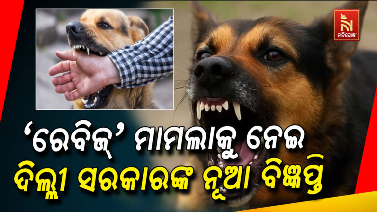 ଦିଲ୍ଲୀରେ ରେବିଜକୁ ‘ଅଧିସୂଚିତ ରୋଗ’ ଘୋଷିତ କରିବେ ସରକାର