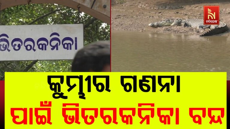 କୁମ୍ଭୀର ଗଣନା ପାଇଁ ଆସନ୍ତାକାଲିଠାରୁ ପର୍ଯ୍ୟଟକଙ୍କ ପାଇଁ ବନ୍ଦ ରହିବ ଭିତରକନିକା