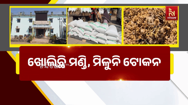 ଖୋଲିଛି ମଣ୍ଡି, ମିଳୁନି ଟୋକନ : ଶୀତ କାକରରେ ଧାନ ଭିଜି ହେଲାଣି ଗଜା