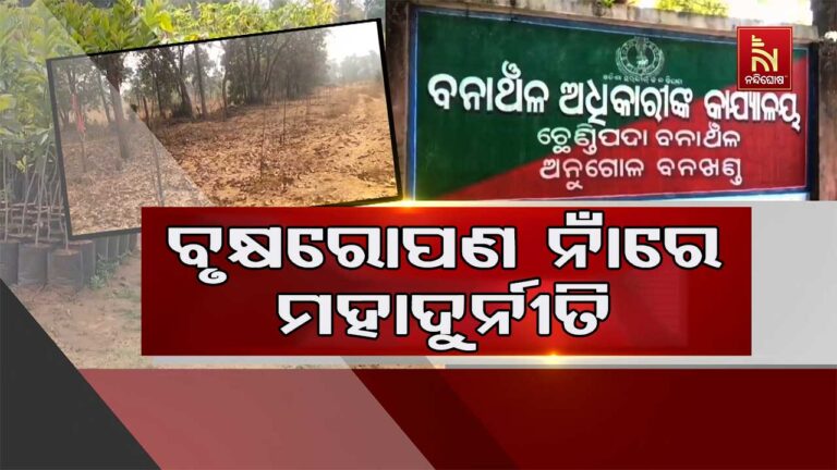 ବୃକ୍ଷରୋପଣ ନାଁରେ ଏକ ନମ୍ବର ପ୍ରଦୂଷିତ ସହର ଅନୁଗୋଳରେ ଚାଲିଛି ଅର୍ଥ ହରିଲୁଟ