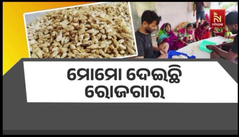 ମୋମୋ ଦେଇଛି ରୋଜଗାର: ବର୍ଷକୁ ହେଉଛି ୧୨-୨୫ ଲକ୍ଷ ଲାଭ