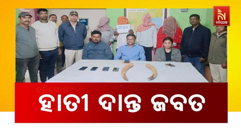 ବନ ବିଭାଗର ଚଢାଉ: ୨ଟି ହାତୀ ଦାନ୍ତ ଜବତ, ୪ ଜଣ ଗିରଫ