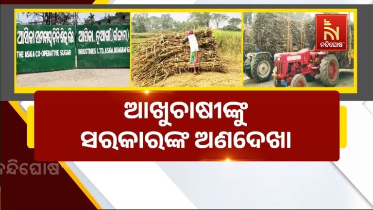 ଆଖୁଚାଷୀଙ୍କୁ ସରକାରଙ୍କ ଅଣଦେଖା, ମିଳୁନି ସରକାରୀ ପ୍ରୋତ୍ସାହନ