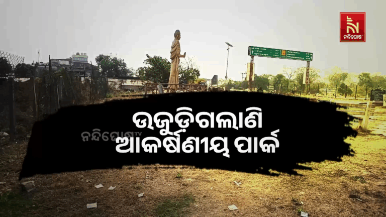 ଅବହେଳିତ ଅବସ୍ଥାରେ ବୁଦ୍ଧ ପାର୍କ, ରକ୍ଷଣାବେକ୍ଷଣ ଅଭାବରୁ ହରାଉଛି ସତ୍ତା