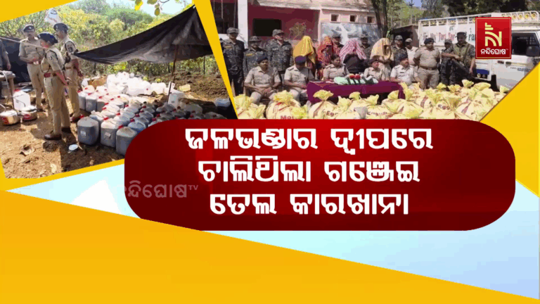 ଜଲାପୁଟ ଜଳଭଣ୍ଡାର ଦ୍ବୀପରେ ଗଞ୍ଜେଇ ତେଲ କାରଖାନା, ନିଶା ମାଫିଆଙ୍କୁ ସୁରକ୍ଷା ଦେଉଛନ୍ତି ନକ୍ସଲ
