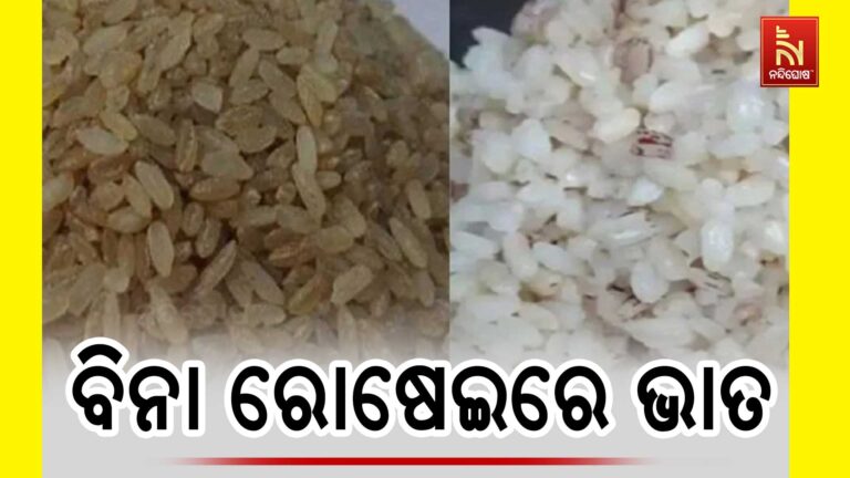 ଚାଷୀ ଅମଳ କଲେ ନିଆରା ଧାନ, ବିନା ରୋଷେଇରେ ହେବ ଭାତ…