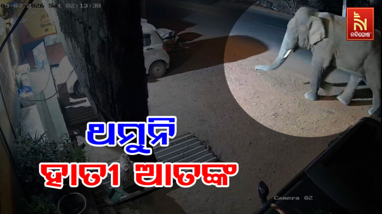 ଅଁଳାବେରେଣୀରେ ଦନ୍ତା ଆତଙ୍କ ; ଆତଙ୍କିତ ଅବସ୍ଥାରେ ଅଞ୍ଚଳବାସୀ