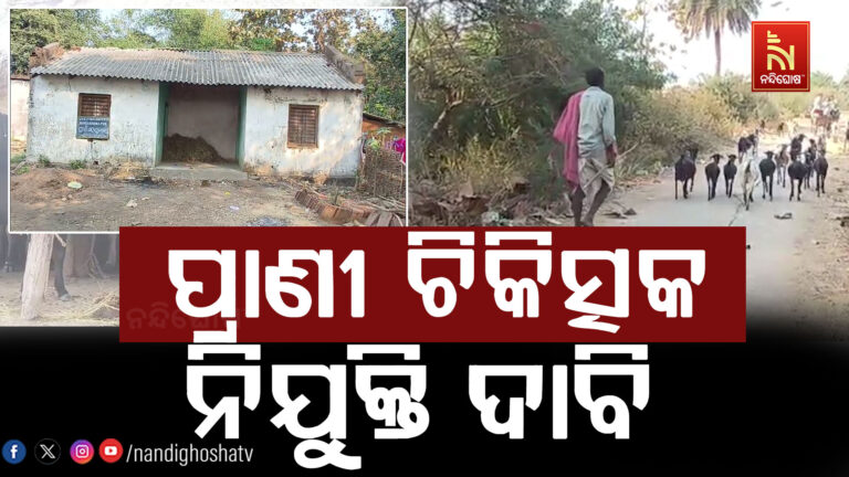 ଅବହେଳିତ ଅବସ୍ଥାରେ ପ୍ରାଣୀ ସହାୟକ କେନ୍ଦ୍ର, ନାହାନ୍ତି  ଉପଯୁକ୍ତ ଡାକ୍ତର କି କର୍ମଚାରୀ