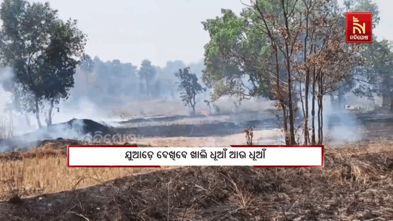 ବୌଦ୍ଧ ମନମୁଣ୍ଡା ଓ କଣ୍ଟାମାଳ ରେଞ୍ଜରେ ହୁତୁହୁତୁ ହୋଇ ଜଳୁଛି ଜଙ୍ଗଲ