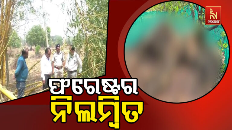 ବଲାଙ୍ଗୀର ଚାନୁଟମାଲ ହାତୀ ମୃତ୍ୟୁ ମାମଲା ; ଫରେଷ୍ଟର ନିଲମ୍ବିତ
