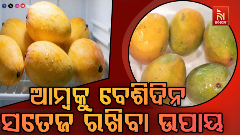 ଫ୍ରିଜ ବିନା ଆମ୍ବକୁ ଅଧିକ ଦିନ କିପରି ସତେଜ ରଖିବେ ? ଜାଣନ୍ତୁ….